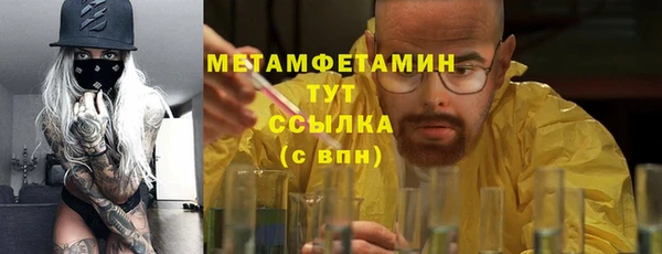 гидра Аркадак