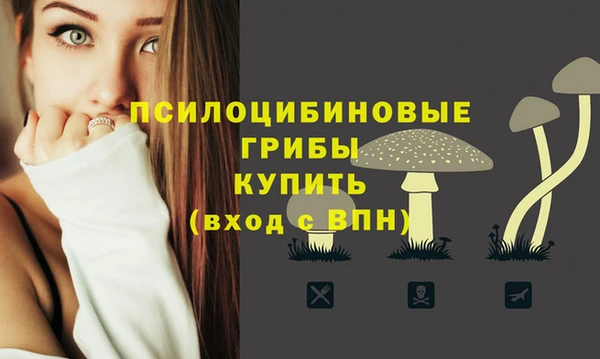 гидра Аркадак