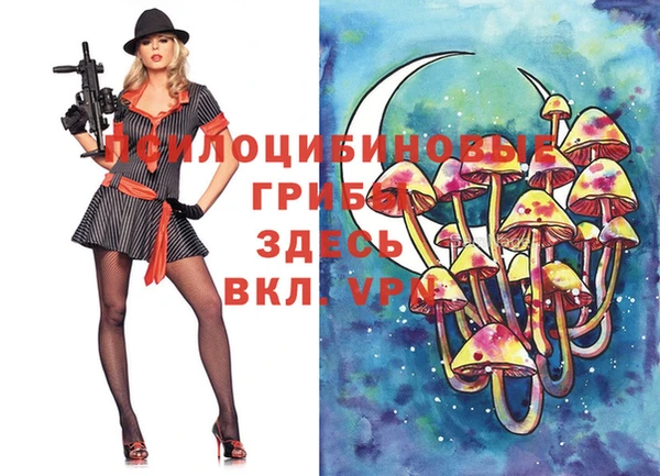 гидра Аркадак